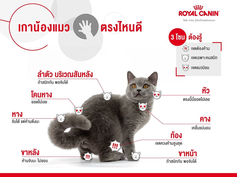 Safety plan : เตรียมรับมือในช่วงเวลาวิกฤต