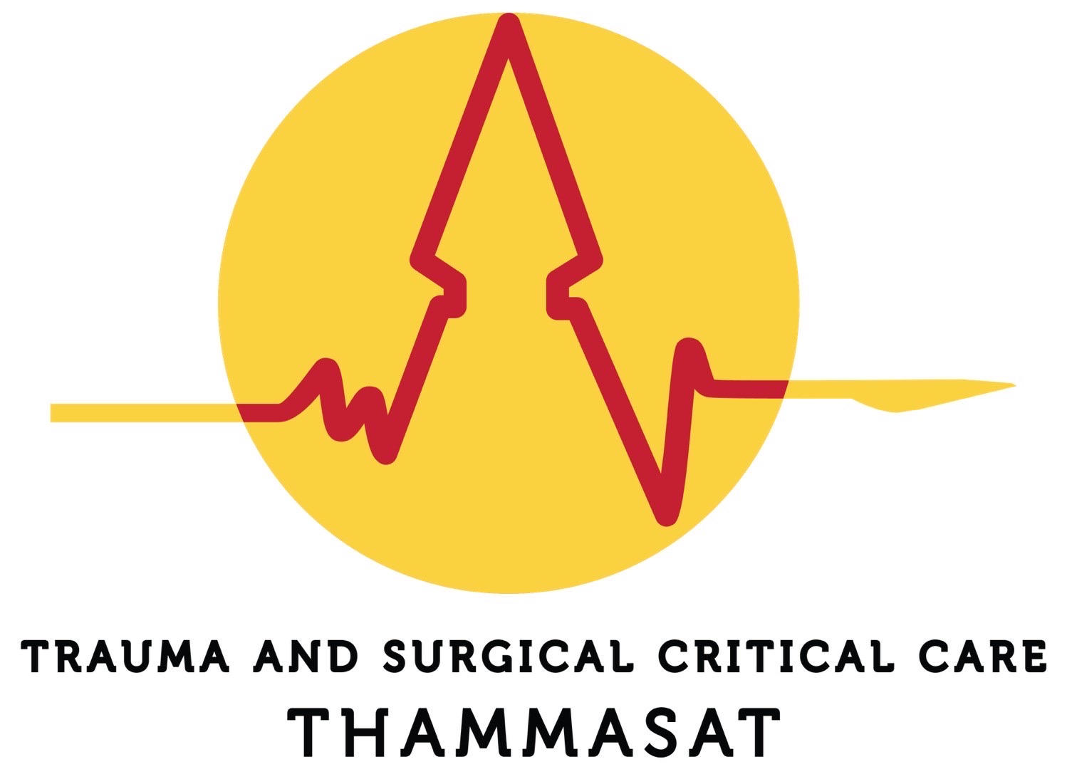 Logo Critcare